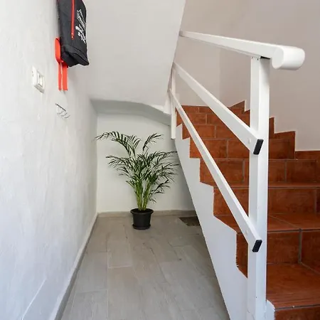 Spacious House With Huge Terrace Facing The Sea Bocacangrejo